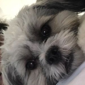 Meet your Posher, Jade